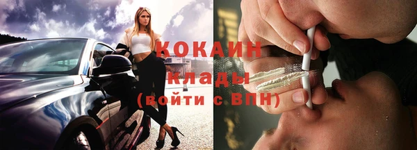 шишки Волоколамск