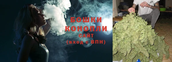 шишки Волоколамск