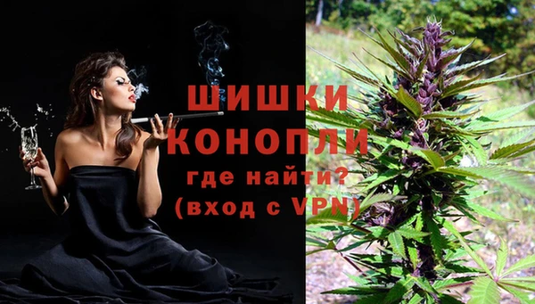шишки Волоколамск