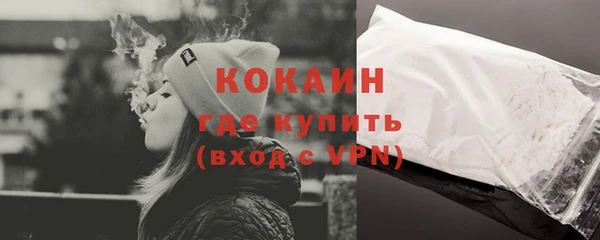 шишки Волоколамск