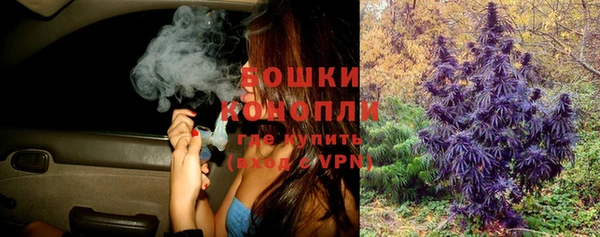шишки Волоколамск