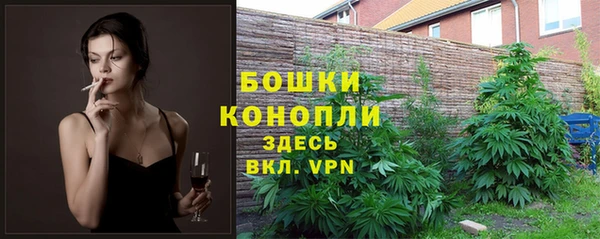 шишки Волоколамск