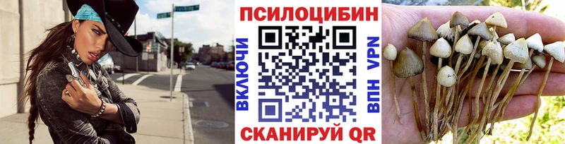 где купить   Ноябрьск  Псилоцибиновые грибы Magic Shrooms 