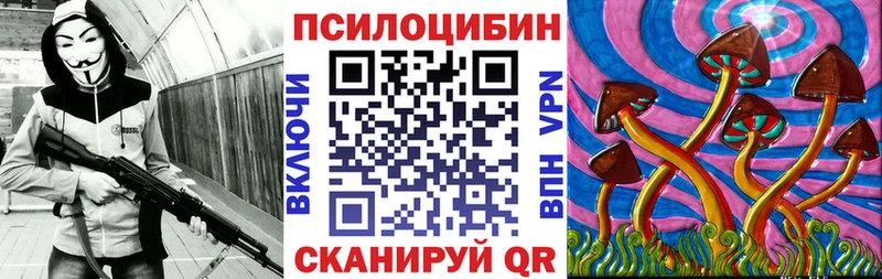 Галлюциногенные грибы Psilocybine cubensis Ноябрьск